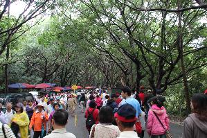 教職員參加桃園縣舉辦虎頭山登山健走活動101.11.11，開新視窗